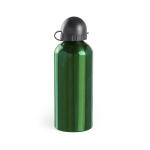 Garrafa de alumínio personalizada, em cores vivas 650ml Basic Style XL cor verde primeira vista