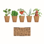 Conjunto de cultivo de vegetais para empresas Kit 5 Veggies Grow cor bege