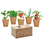 Conjunto de cultivo de vegetais para empresas Kit 5 Veggies Grow vista principal