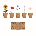 Conjunto de cultivo de flores, 5 tipos diferentes Kit 5 Flowers Grow cor bege