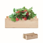 Kit de cultivo de morangos em caixa de madeira Mini-horta Strawberry cor madeira