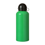 Garrafa de alumínio personalizada, em cores vivas 650ml Basic Style XL cor verde primeira vista