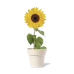 Vaso biodegradável com sementes de girassol SunFlower cor natural quarta vista