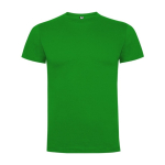 T-shirt de manga curta em algodão para homem 165 g/m² Roly cor verde relva