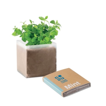 Caixinha com sementes de menta para personalizar e oferecer Mint