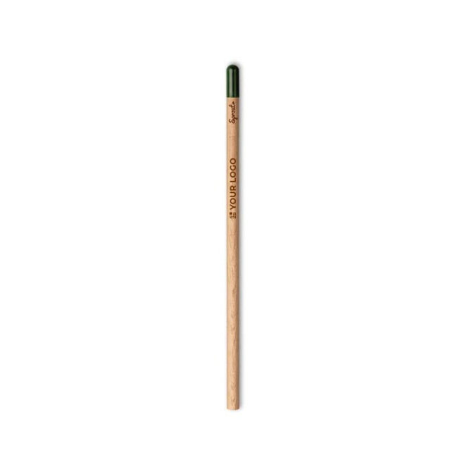 Original lápis que se converte numa margarida cor natural