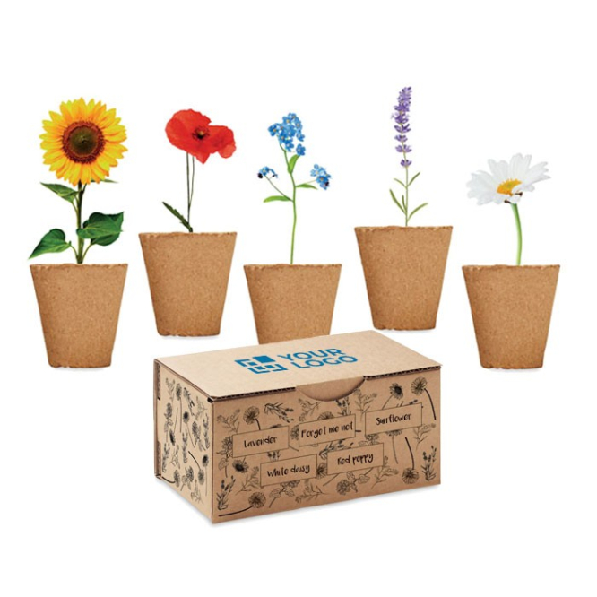 Kit de cultivo de flores cor bege